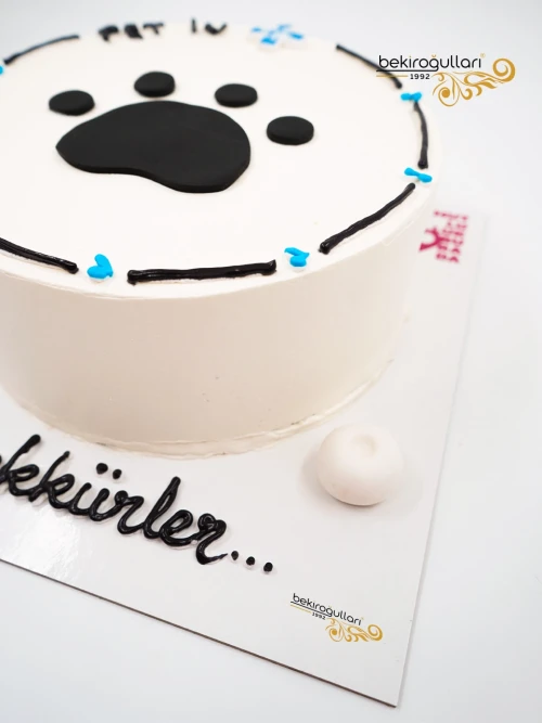 Veteriner Tasarım Naked Cake