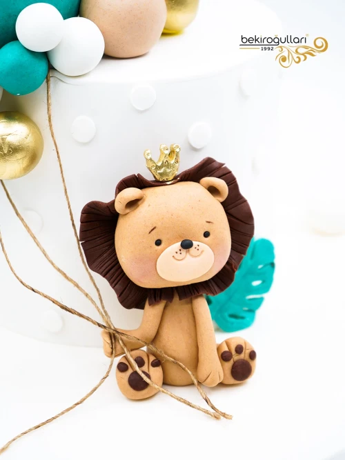 Aslan Detay Butik Pasta