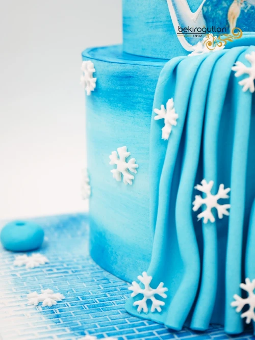 Elsa Ve Anna Tasarım Butik Pasta