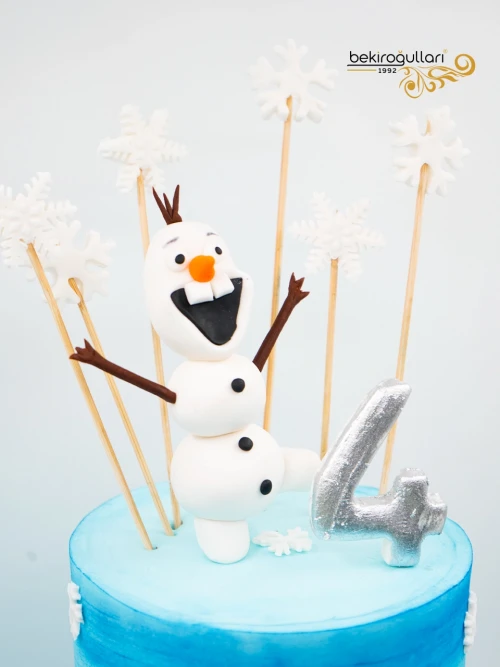 Elsa Ve Anna Tasarım Butik Pasta