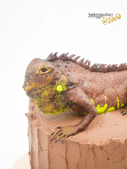 İguana Tasarım Butik Pasta