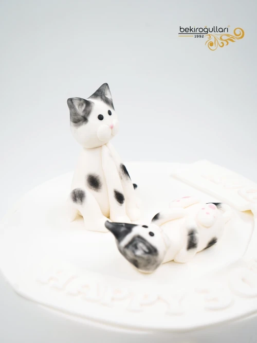 Kedi Detay Butik Pasta