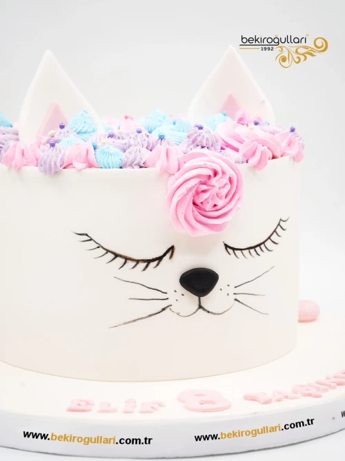 Kedi Tasarım Butik Pasta