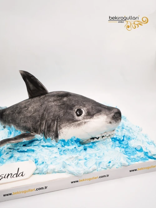 Köpek Balığı Tasarım Butik Pasta