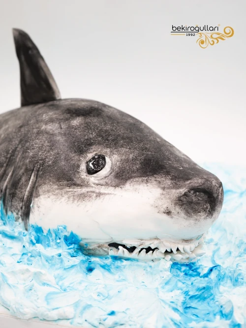 Köpek Balığı Tasarım Butik Pasta