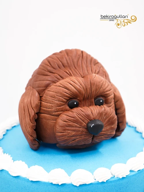 Köpek Detay Mavi Pasta