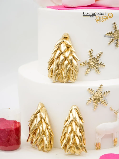 Yoga Konsept Tasarım Konsept Pasta