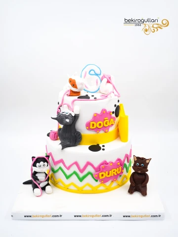 Kedi Konsept Tasarım Pasta
