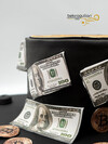 Bitcoin ve Dolar Konsept Pasta