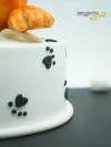 Kedi Detaylı Konsept Pasta
