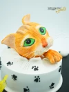 Kedi Detaylı Konsept Pasta