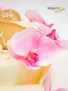 Orkide Ve Kurabiye Detay Pasta
